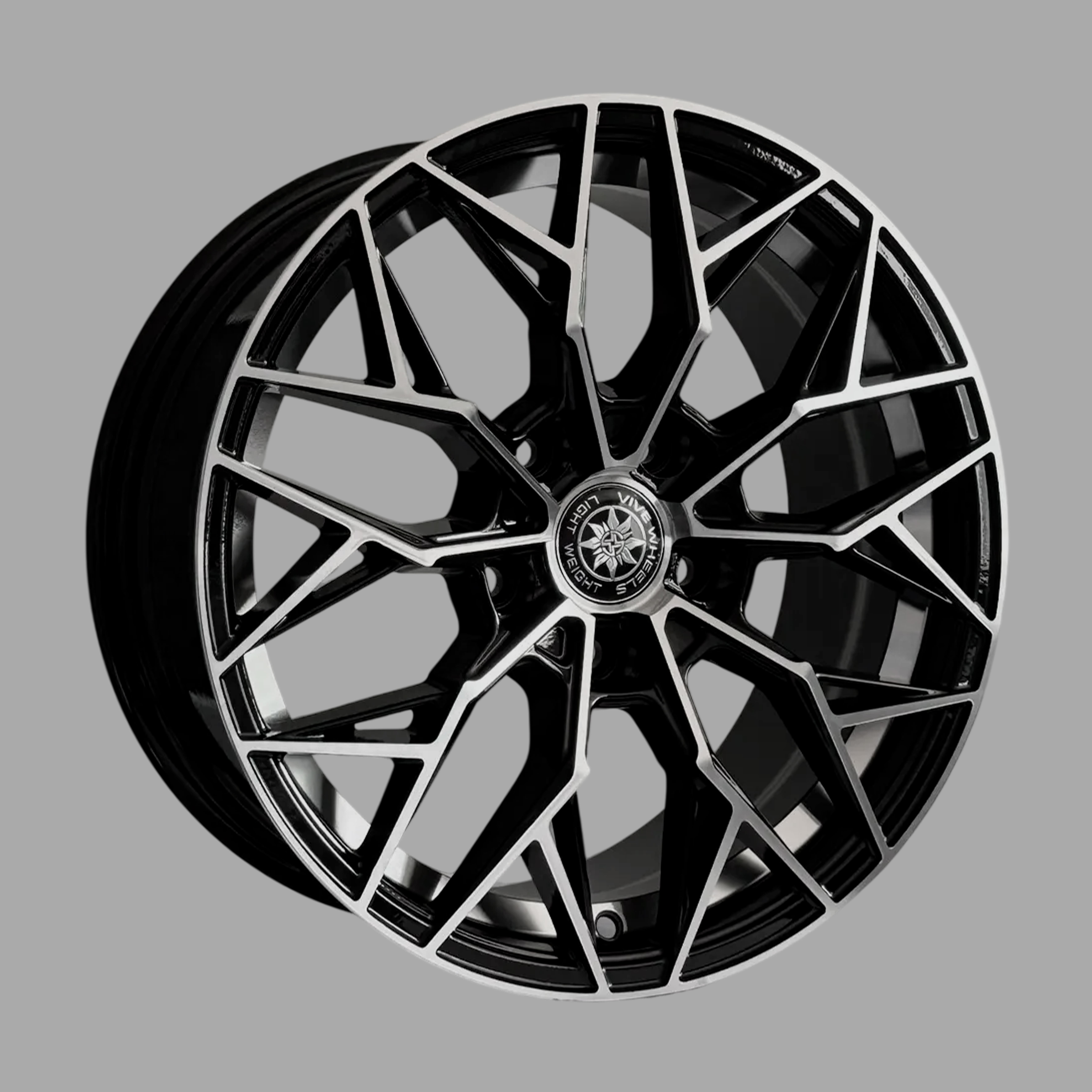 VIVE FBX098